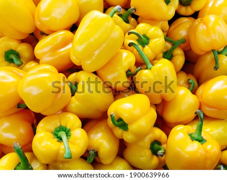 Many yellow organic bell pepper or capsicum in market for sale. Pile of sweet bell pepper background.