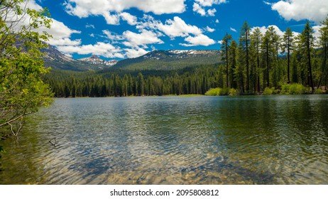 249 Manzanita springs Images, Stock Photos & Vectors | Shutterstock