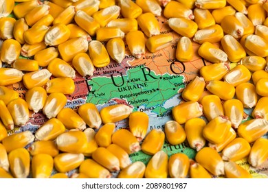 Map of Ukraine surrounded by corn kernels. Corn farming, export, import, production and trade concept. - Shutterstock ID 2089801987