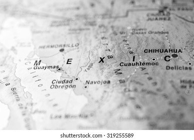 28 Delicias chihuahua Images, Stock Photos & Vectors | Shutterstock