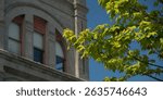 Maple branches with fresh foliage pointing at arced tall Victorian  windows  on Water Street, Port Townsend