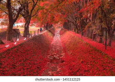 Maple Corridor High Res Stock Images Shutterstock