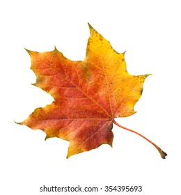 2,304 Autmn Leafs Stock Photos, Images & Photography | Shutterstock