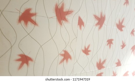 Maple leaf background 