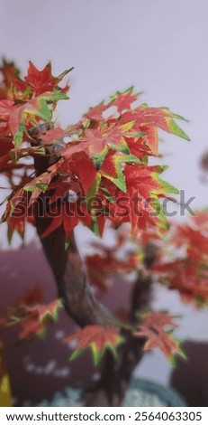 Similar – Image, Stock Photo characteristic leaves of a cannabis plant in front of a blue sky