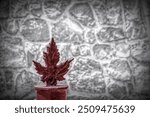 A maple leaf fence post top is seen against a backdrop of a stone wall on a bright sunny day in Bayfield, Ontario.