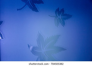 maple leaf in the glass