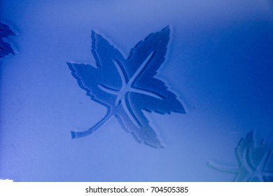 maple leaf in the glass