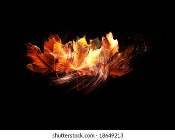 maple leaf on the black background   with light wind