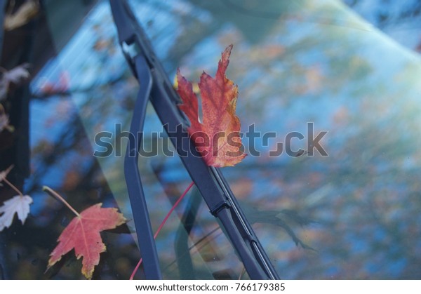 Maple\
Leaf stuck to a car\'s windshield and washer\
blade