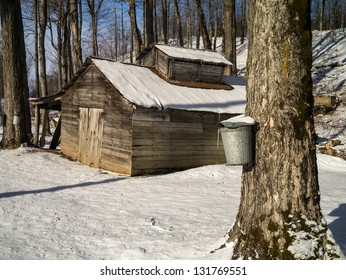 Maple Sugar Season Vermont