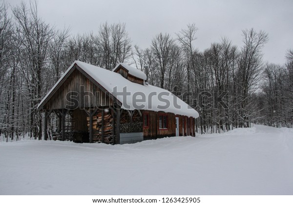 Maple Syrup Sugar Shack Rural Quebec Stock Photo Edit Now 1263425905