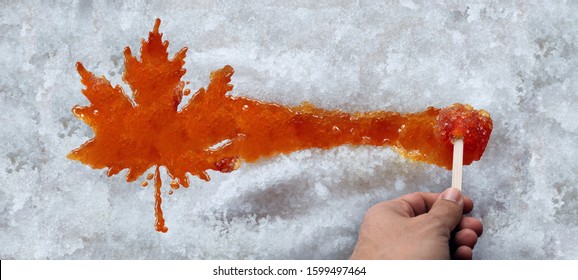 Maple taffy leaf or boiled tree sweet boiled sap syrup on snow as a traditional spring food culture from Quebec Ontario Canada and New England produced in a sugar shack.