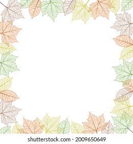Maple tree leaf frame.  illustration. Autumn colors graphic card template boarder. square