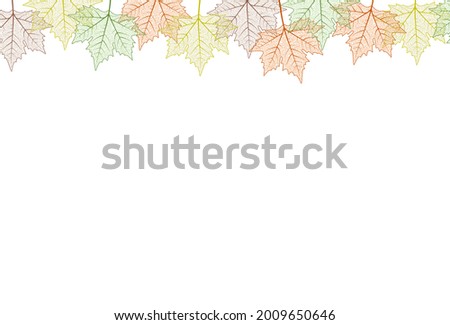 Maple tree leaf frame.  illustration. Autumn colors graphic card template boarder. top