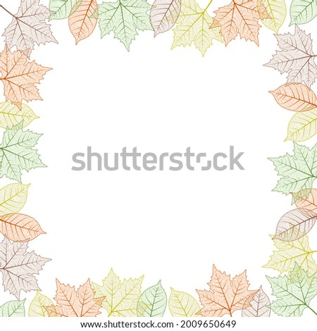 Maple tree leaf frame.  illustration. Autumn colors graphic card template boarder. square