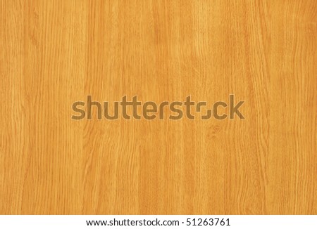 maple   tree wood textured background