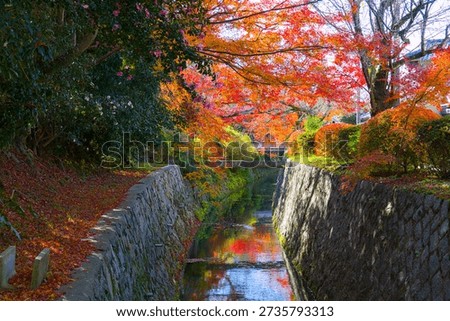 Maple trees arch over the Philosopher's Path in Kyoto, their autumn colors mirrored in the canal’s reflection.