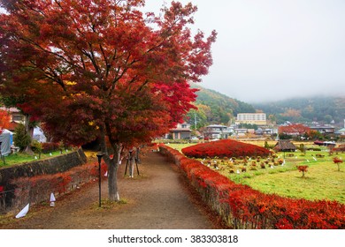 Maple Corridor High Res Stock Images Shutterstock