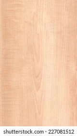 Maple Wood Texture