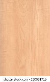 Maple Wood Texture