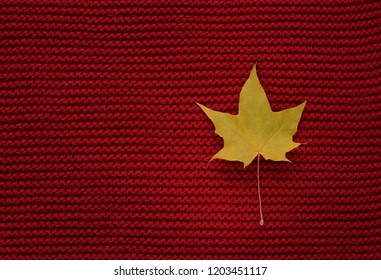 Maple yellow leaf on red color wool knitted background. Top view. Copy space