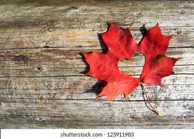 Maple-Leaf To Cut The Heart On The Tree. Valentine Love Leaf. Red Maple Leaf - Symbol Loves Of Canada On A Old Brown Wooden Log Background. Love Autumn Concept. Canadian National Flag Motif Copy Space