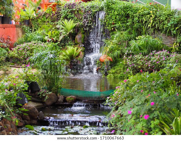 47 Mapro Garden Images, Stock Photos & Vectors | Shutterstock