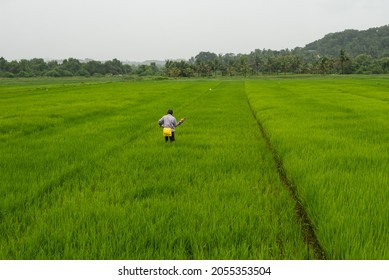 107 Goan Farmer Images, Stock Photos & Vectors | Shutterstock