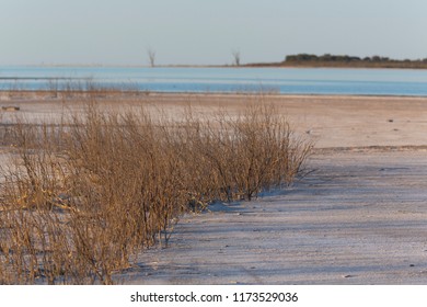 Mar Chiquita Lake. Cordoba, Argentina