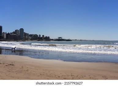 Mar Del Plata, Buenos Aires, Argentina. 21-09-2021. Beach Of Mar Del Plata, Tourist City Of The Province Of Buenos Aires. Argentina. Winter Break.
