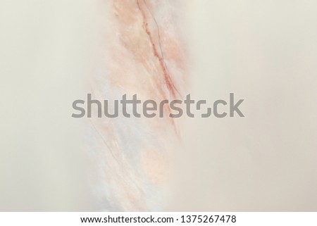 marble background texture