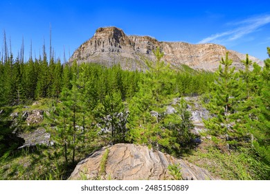 Marble Canyon on the Kootenay River at the north end of Kootenay National Park in the Canadian Rockies of British Columbia, Canada - Powered by Shutterstock