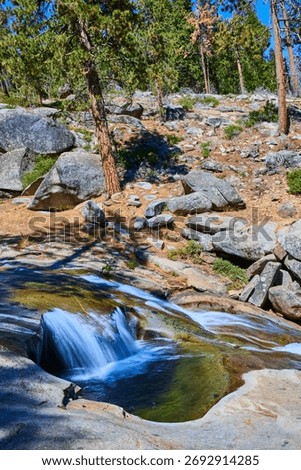 Marble Fork Kaweah River Cascade with Granite Rocks and Pine Trees in Sunlight