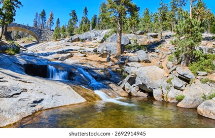 Marble Fork Kaweah River Stone Bridge and Pine Forest Panorama