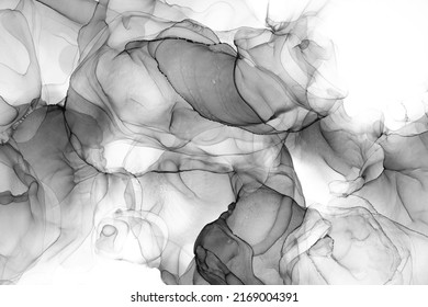 Marble ink abstract art from exquisite original painting for abstract background . Painting was painted on high quality paper texture to create smooth marble background pattern of ombre alcohol ink . - Shutterstock ID 2169004391