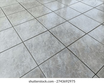 Marble patterned ceramic floor tiles in gray and white with square grid lines.