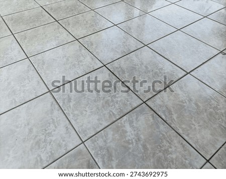 Marble patterned ceramic floor tiles in gray and white with square grid lines.