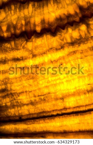 Similar – Image, Stock Photo wrinkles Colour photo