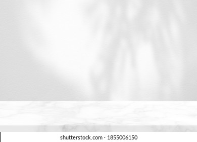 Marmortisch-Kiefer hinterlässt Schatten auf weißem Betonwall-Hintergrund.