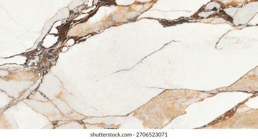 marble texture background samples stone terrazzo from father of A Spain multi faces high resolution big size for wall and floor design