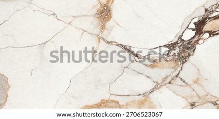 marble texture background samples stone terrazzo from father of A Spain multi faces high resolution big size for wall and floor design