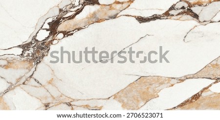 marble texture background samples stone terrazzo from father of A Spain multi faces high resolution big size for wall and floor design
