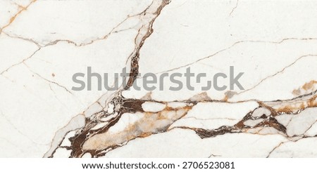 marble texture background samples stone terrazzo from father of A Spain multi faces high resolution big size for wall and floor design