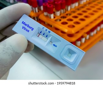 Marburg Virus Images Stock Photos Vectors Shutterstock