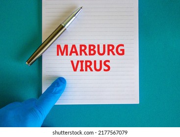 Marburg virus symbol. White note with words Marburg virus, beautiful blue background, doctor hand in blu glove and metallic pen. Medical, marburg virus concept.