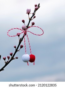 March 1, beginning of spring concept. Bow of red and white thread, martenitsa on blossoming branch of sakura or Japanese cherry against cloudy sky. Hello spring background, copy space
