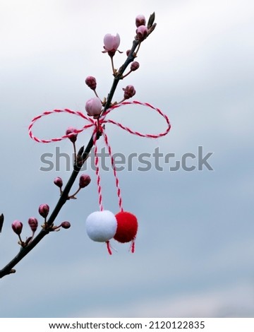 March 1, beginning of spring concept. Bow of red and white thread, martenitsa on blossoming branch of sakura or Japanese cherry against cloudy sky. Hello spring background, copy space