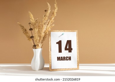 march 14. 14th day of month, calendar date.White vase with dried flowers on desktop in rays of sunlight on white-beige background. Concept of day of year, time planner, spring month.
