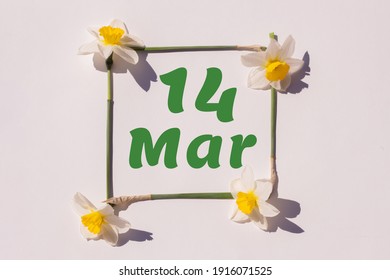March 14th. Day 14 of month , calendar date. Frame from flowers of a narcissus on a light background, pattern. View from above. Spring month, day of the year concept